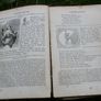Vintage Book of common prayer United church of England and Ireland Image 2