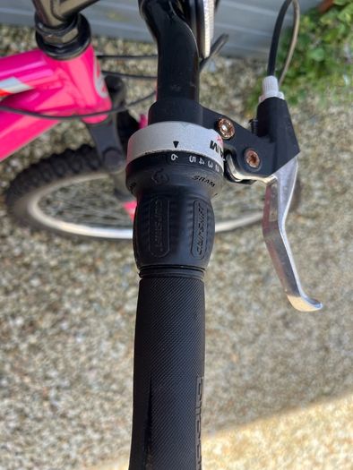 ladies bike