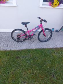Kids Mountain Bike