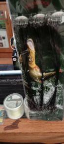 fishing gear 2 rods 1 reel 6pks of line and 5pks of lures