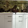 Aquarium, Fish tank, 720L Diversa Image 3