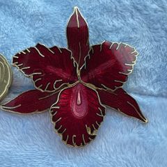 costume brooch