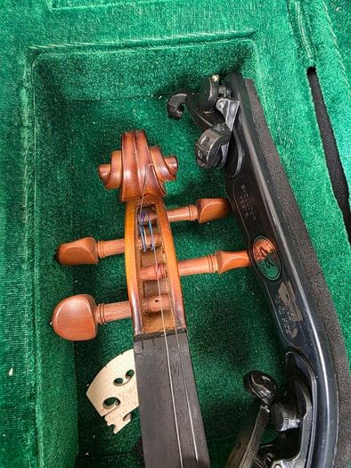 violin