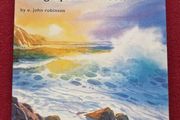 signed copy of paint the sea and shoreline in watercolours using special effects