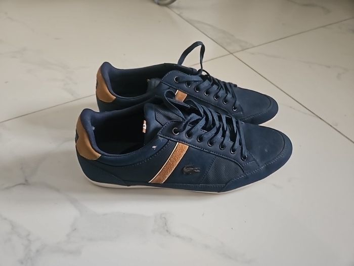 mens lacoste