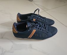 mens lacoste