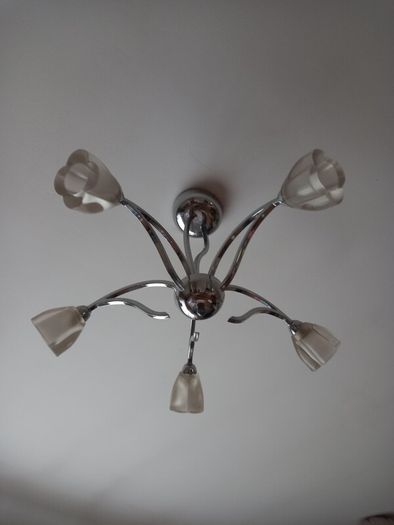 Ceiling Light