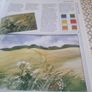 Art School: A Complete Painters Course (Hardcover) Image 10