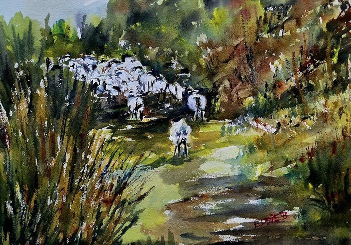 sheep...the lingerer   watercolour