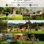 Artificial Grass 15 x 7 ft 35 mm Premium Fake Grass Lawn Roll UV Resistant Synthetic Turf for Garden Patio Balcony Pets and Outdoor Areas Image 3