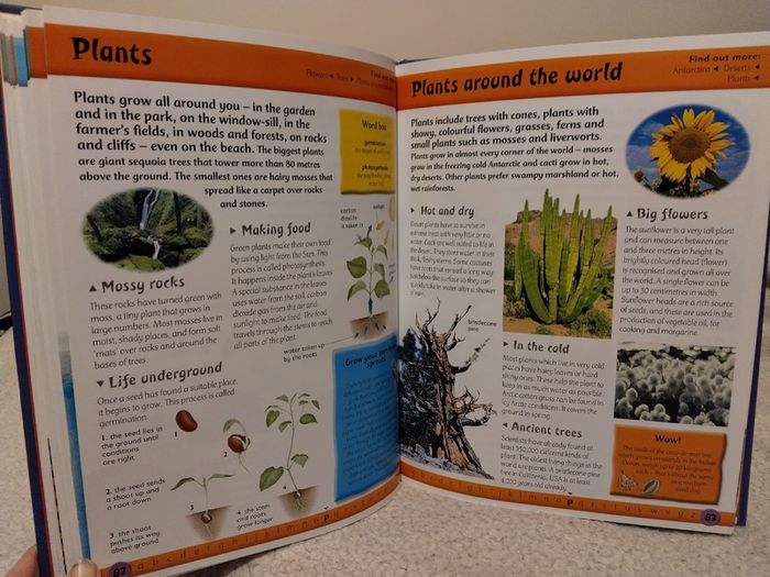 First Fun Encyclopedia Hardback Book