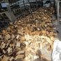 Firewood