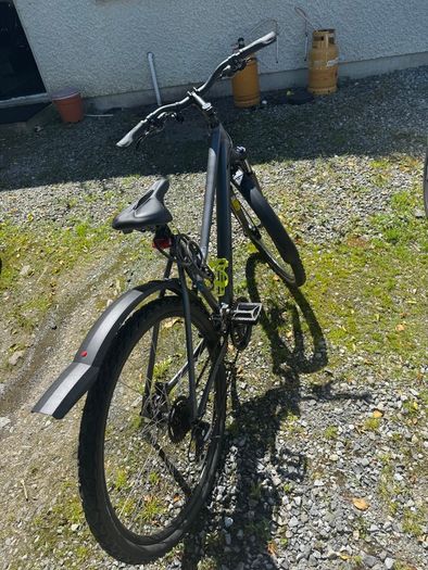 Hybrid bike