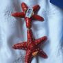 Starfish Ornament Image 5