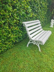 Garden Bench