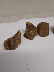 Tigers eye