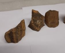 Tigers eye