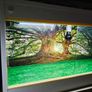 Vivarium/Terrarium Image 4