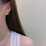 Loewe earrings Image 4