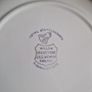 willow Image 4