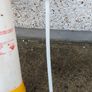 cleaning line bottle for kegs,,cleaning and flushing out pipe lines , ,sold as is ,buyer collects thank you. Image 5