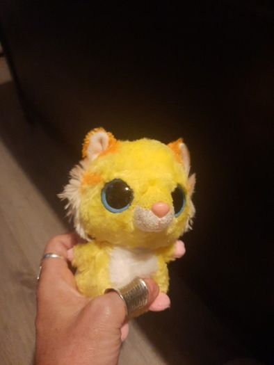big eyed colourful racoon