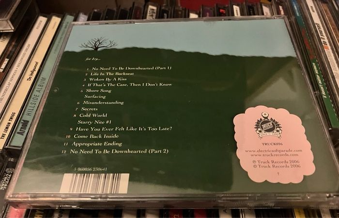 Tye Electric Soft Parade - No Need To Be Disenchanted    CD