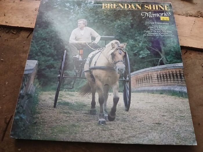 brendan shine