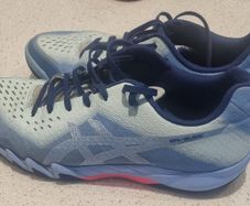 Badminton shoes and ladies tops