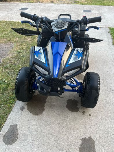 Renegade 1100w 48v electric quad