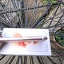 iPhone 6s 16GB Rose Gold Image 5