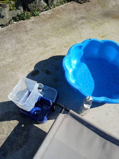 Dog raised bed and paddling pool