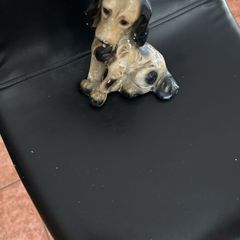 Vintage Chalkware Cocker Spaniel Figurine - Mid Century