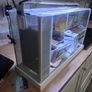 Fish tank & accessories Image 5