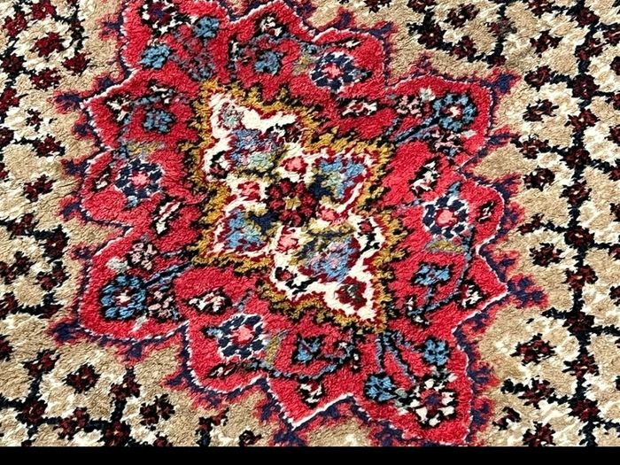 Superb Wool Beautiful Colourful Persian Tribal Koliai hand knotted wool carpet rug.