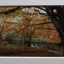 Mounted Original Photography - Ballinrush Estate Image 2