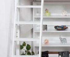 Loft bed Ladder