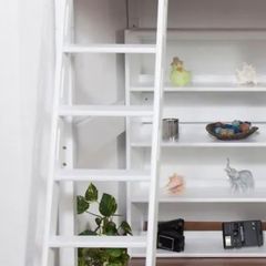 Loft bed Ladder