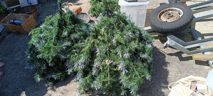 Christmas tree