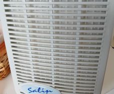 salin