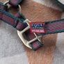 Equi-sential halter Image 2