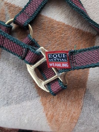 Equi-sential halter