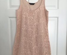 Dorothy Perkins pink lace dress nude size 8 floral