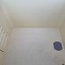 Dog Wash Kennel Image 10
