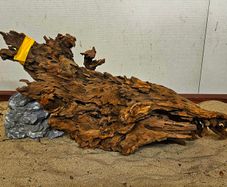 Dragon Wood