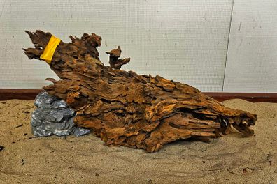 Dragon Wood