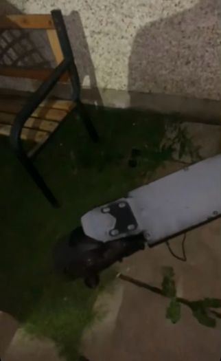 G4 scooter
