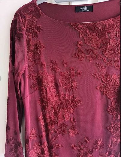 Wallis Embroidered Lace Dress