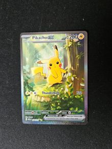 Pikachu Ascended Hereos