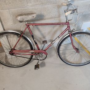 Raleigh esquire